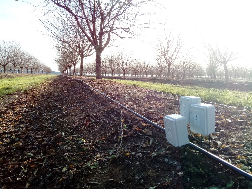Sensores inteligentes a tres profundidades en almendros de Badajoz