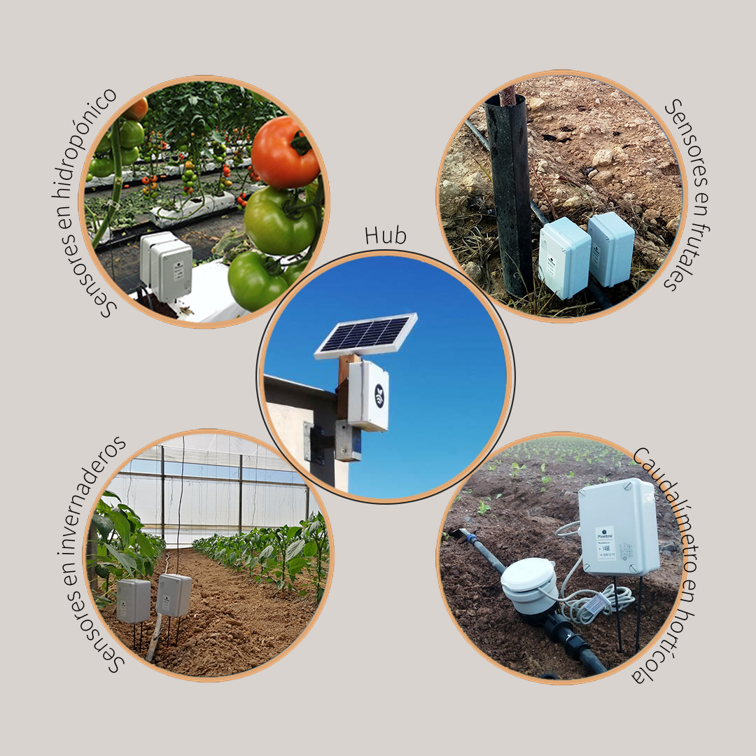 Sensores para controlar el agua de riego Tecnología Plantae para monotorización de la agricultura