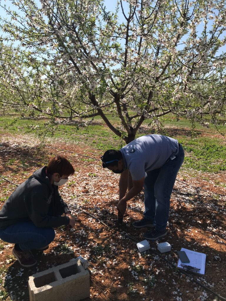 Instalación de sensores y sondas de humedad y temperatura