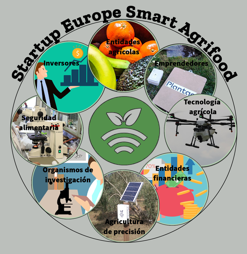 The Most Innovative Startup