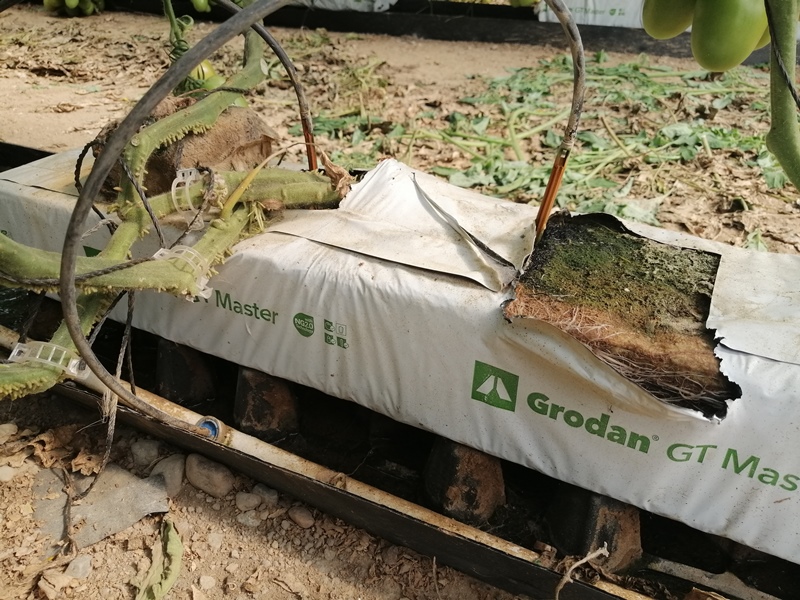 soporte hidropónico