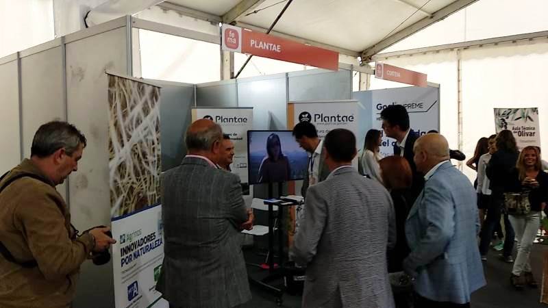 Stand de Plantae en úbeda