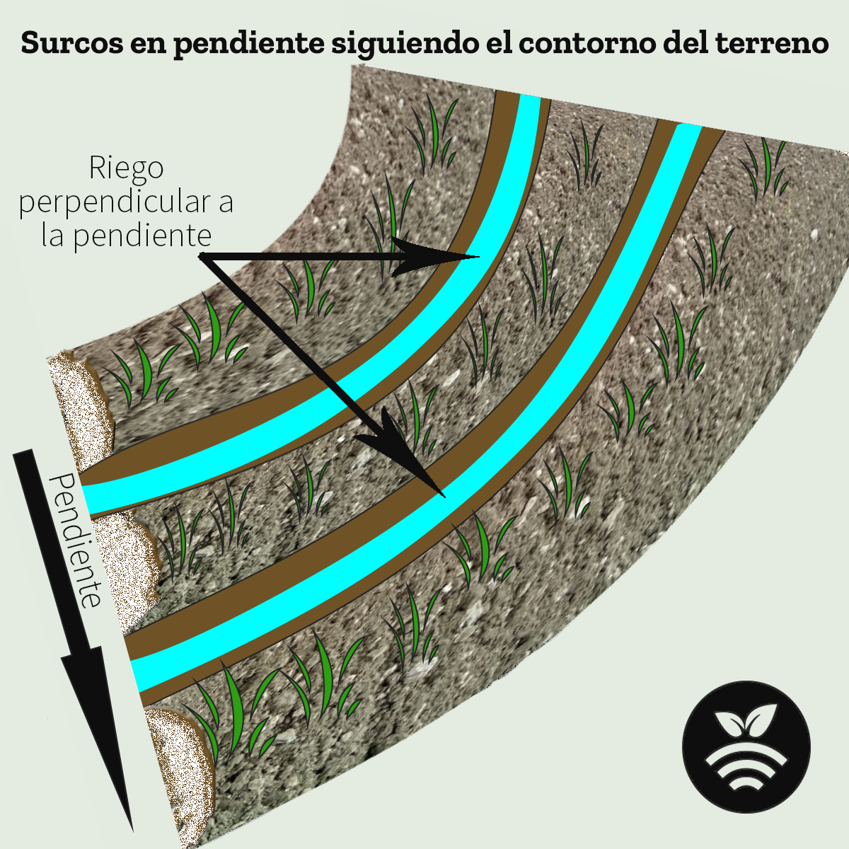 Riego con surcos en contorno
