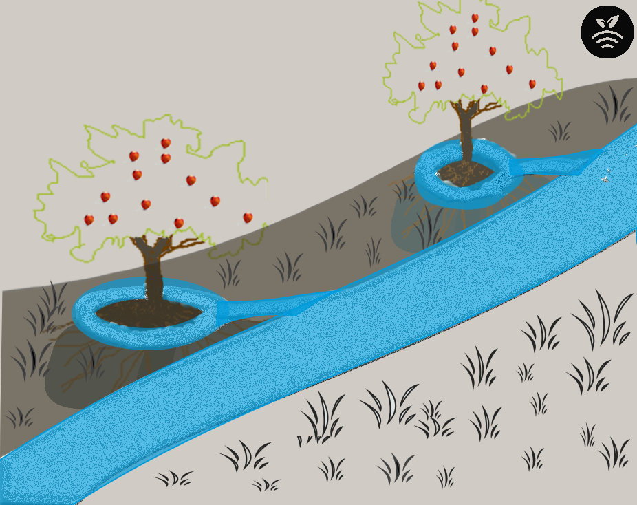 Riego por surcos para frutales