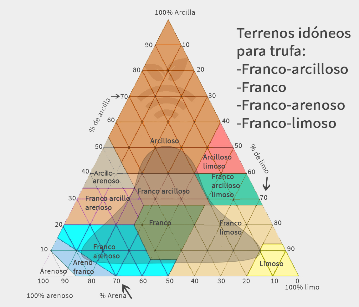 Terreno idóneo para trufas