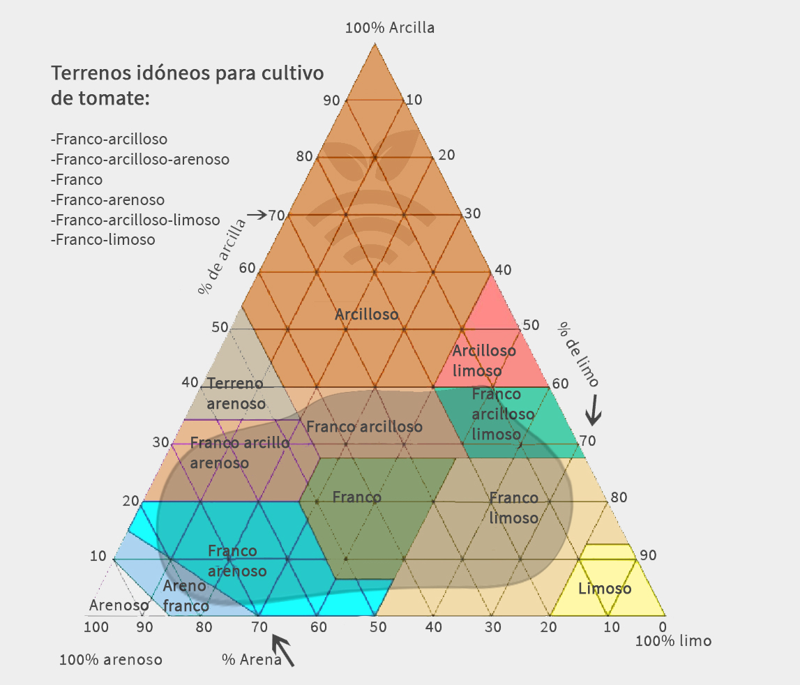 Terreno idóneo para cultivo de tomate en Murcia