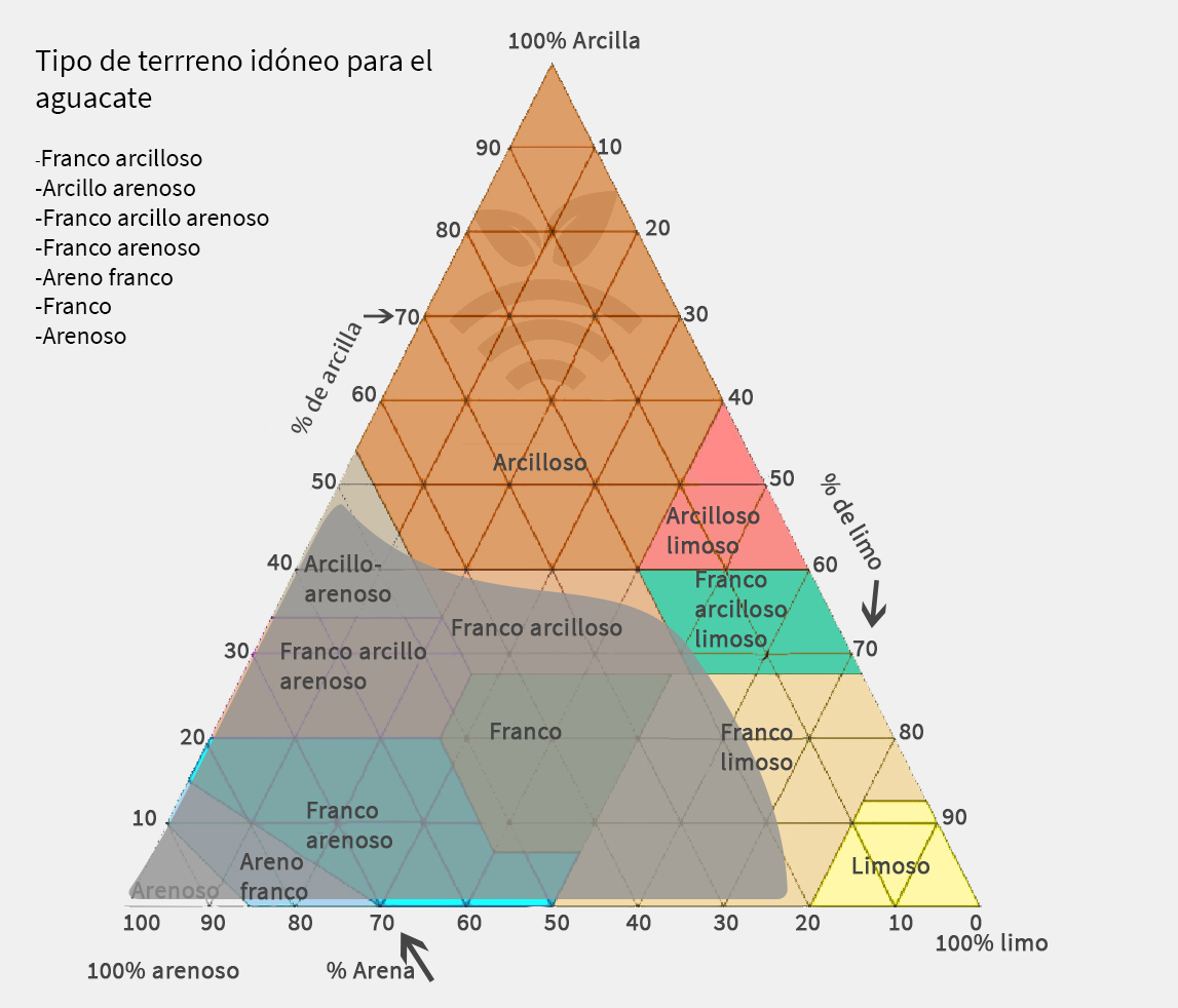 Terreno idóneo para aguacate