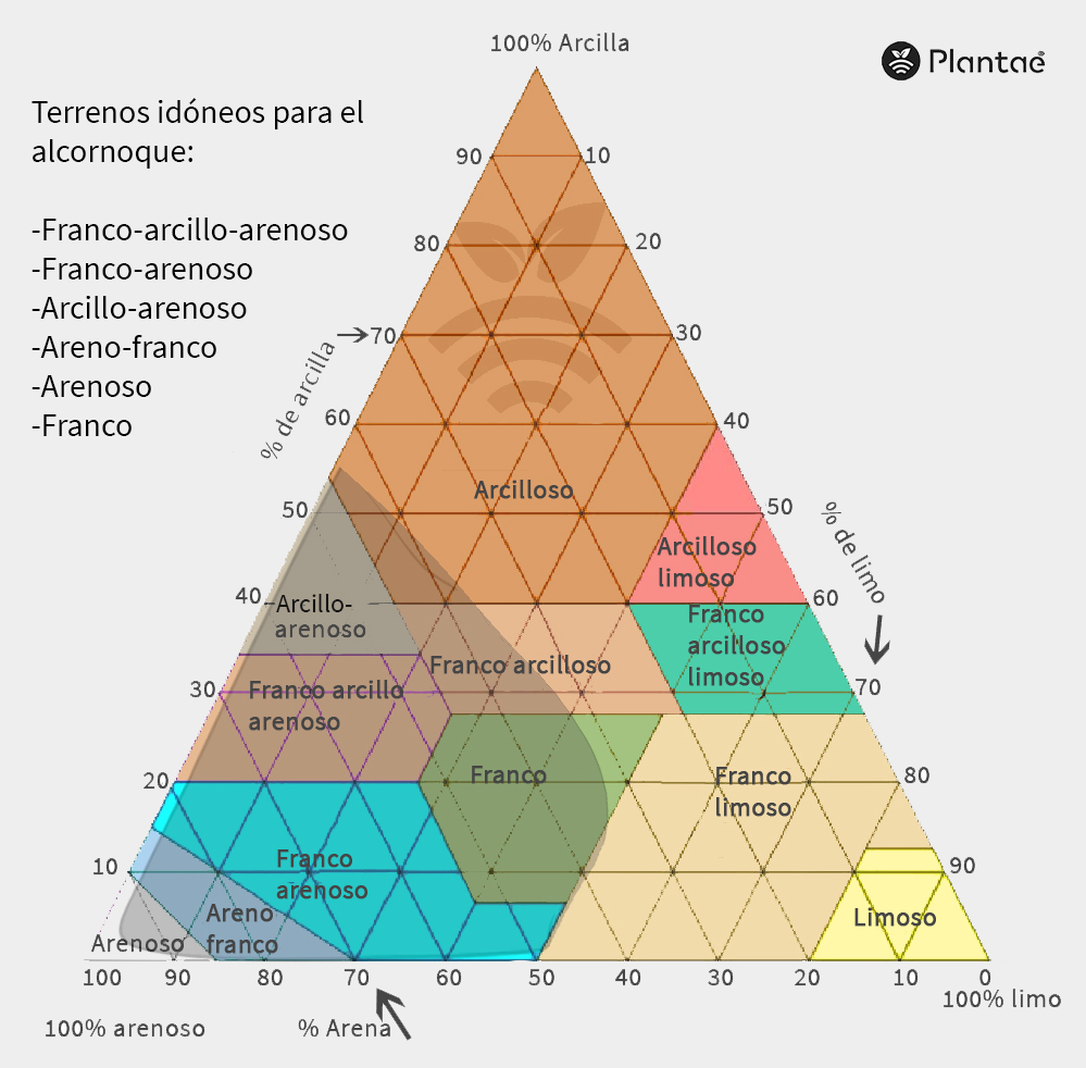Terrenos idóneos del alcornoque
