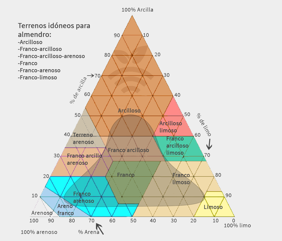 Terreno idóneo para almendro