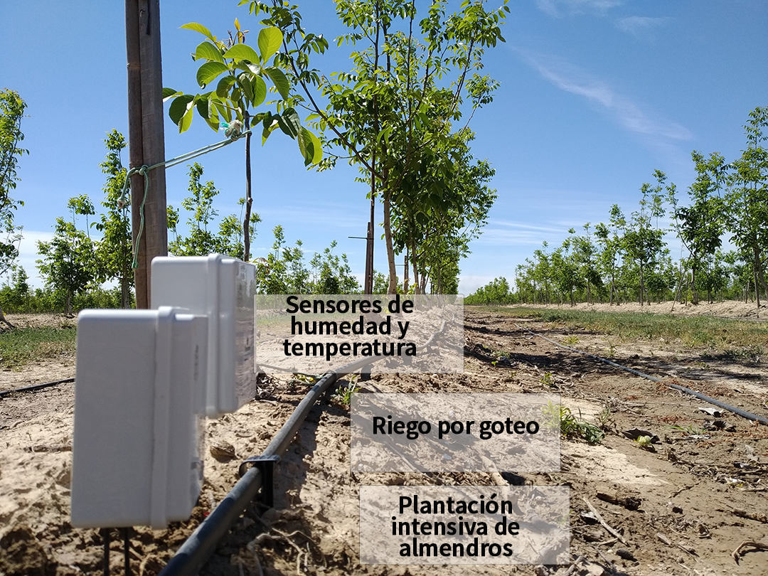 Riego controlado con sensores-sondas
