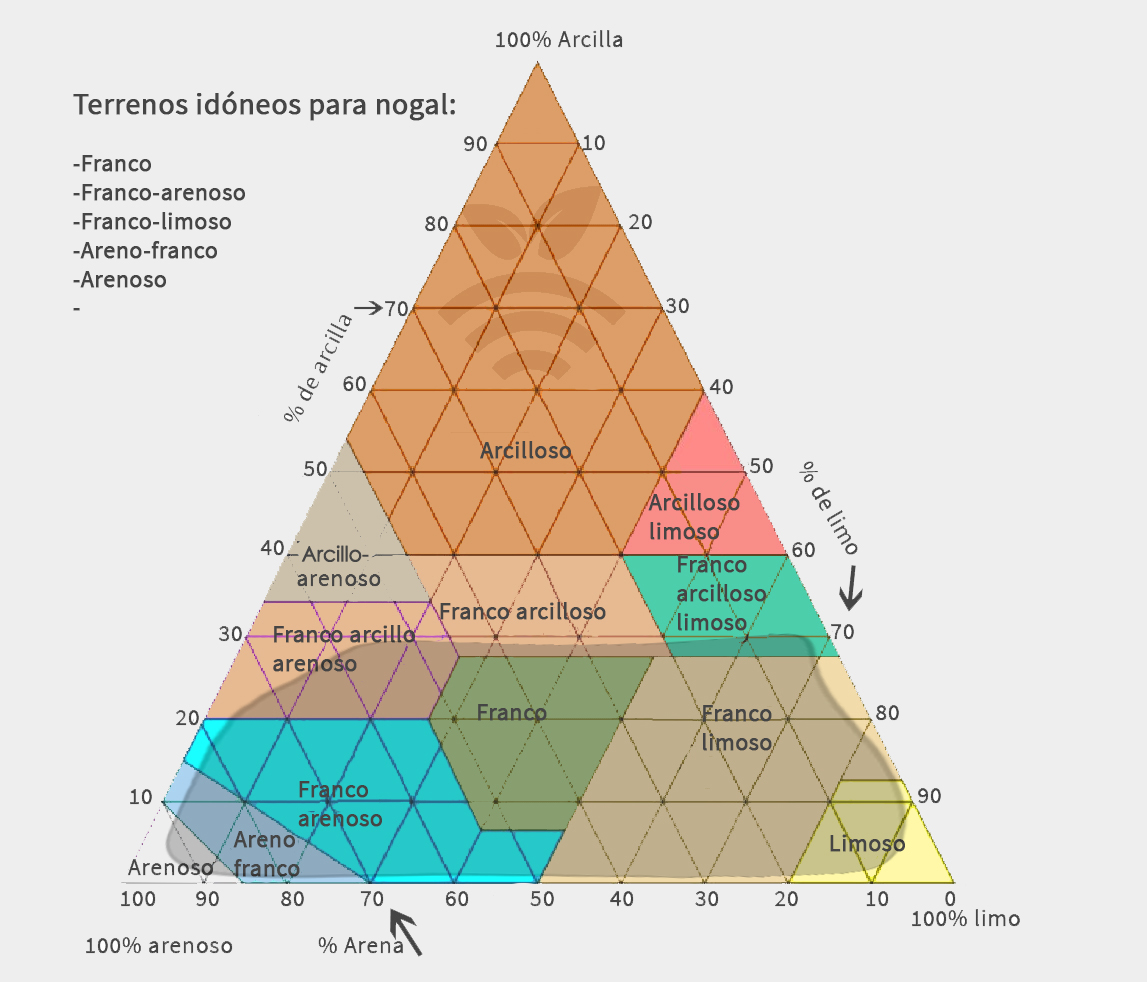 Tipo de terreno para nogal en España