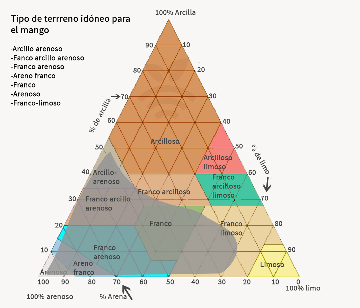 Terreno idóneo para mango y fruta de hueso en general
