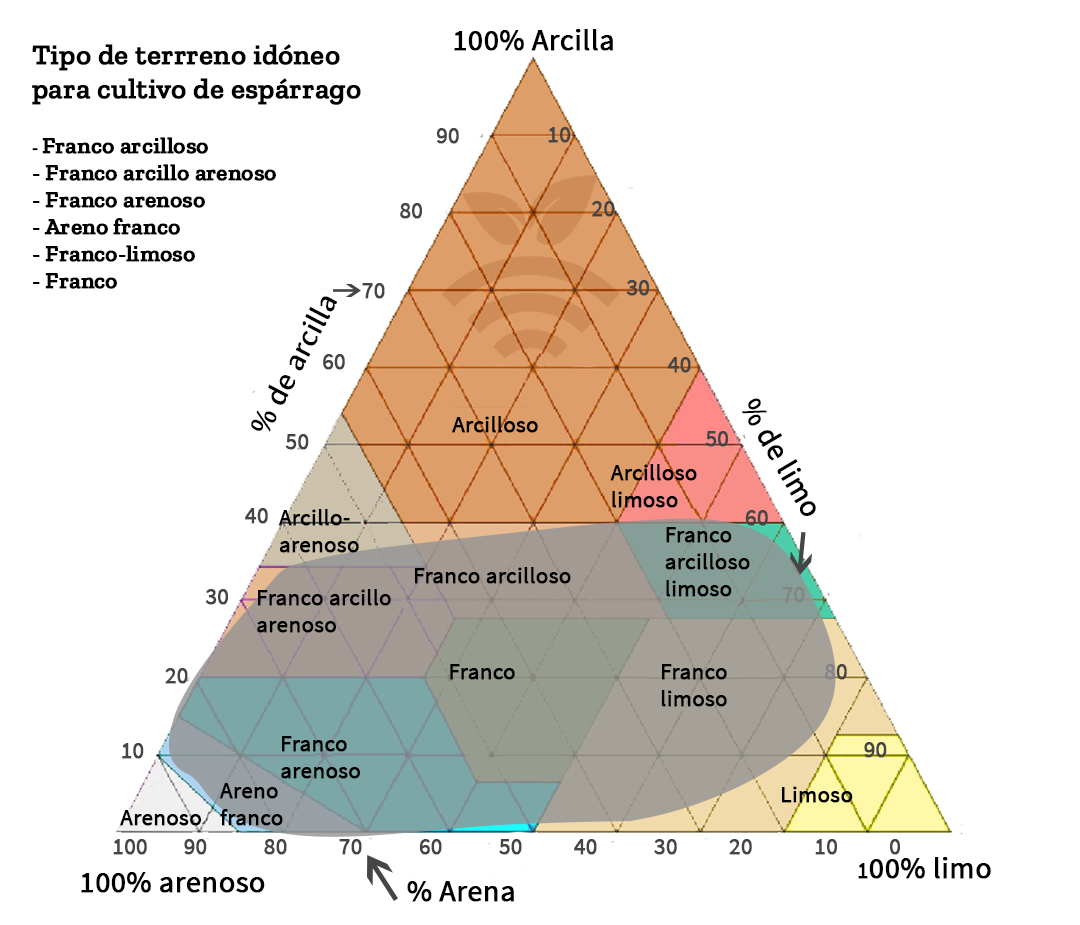 Edafología del espárrago