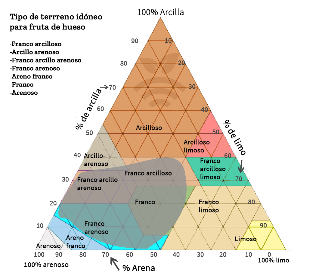 Terreno idóneo para cultivar el melocotón