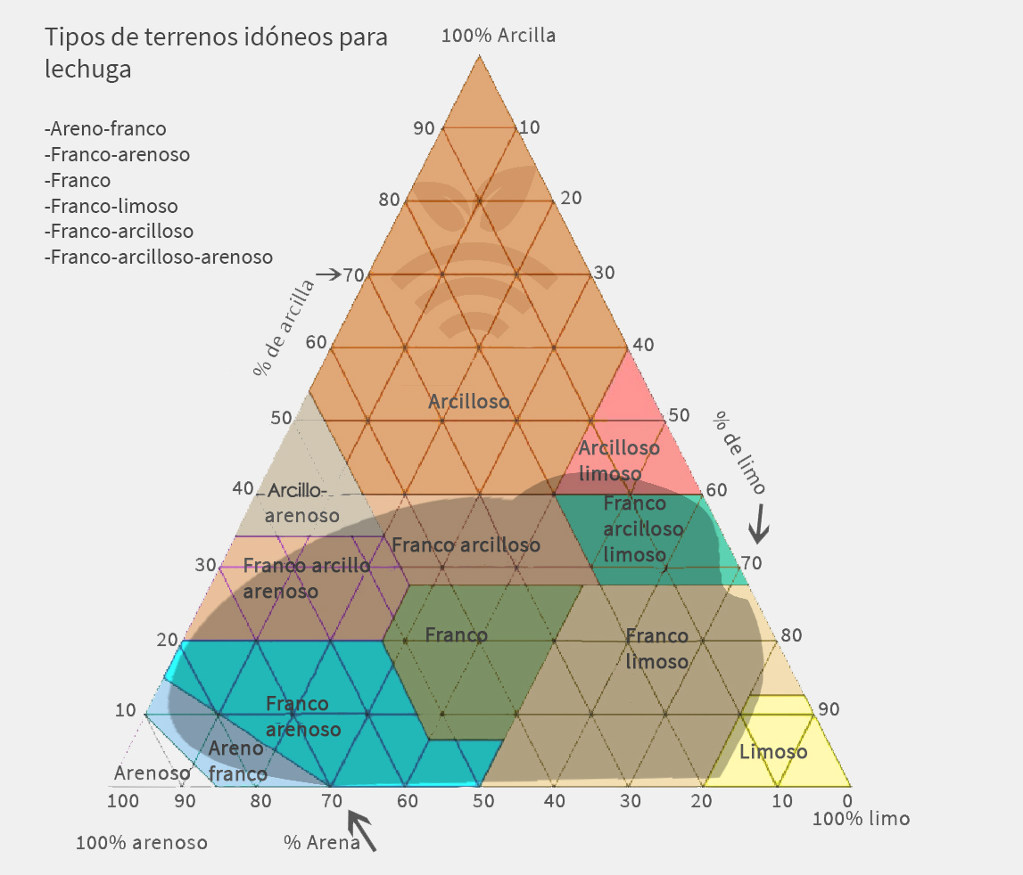 Terreno idóneo para lechuga