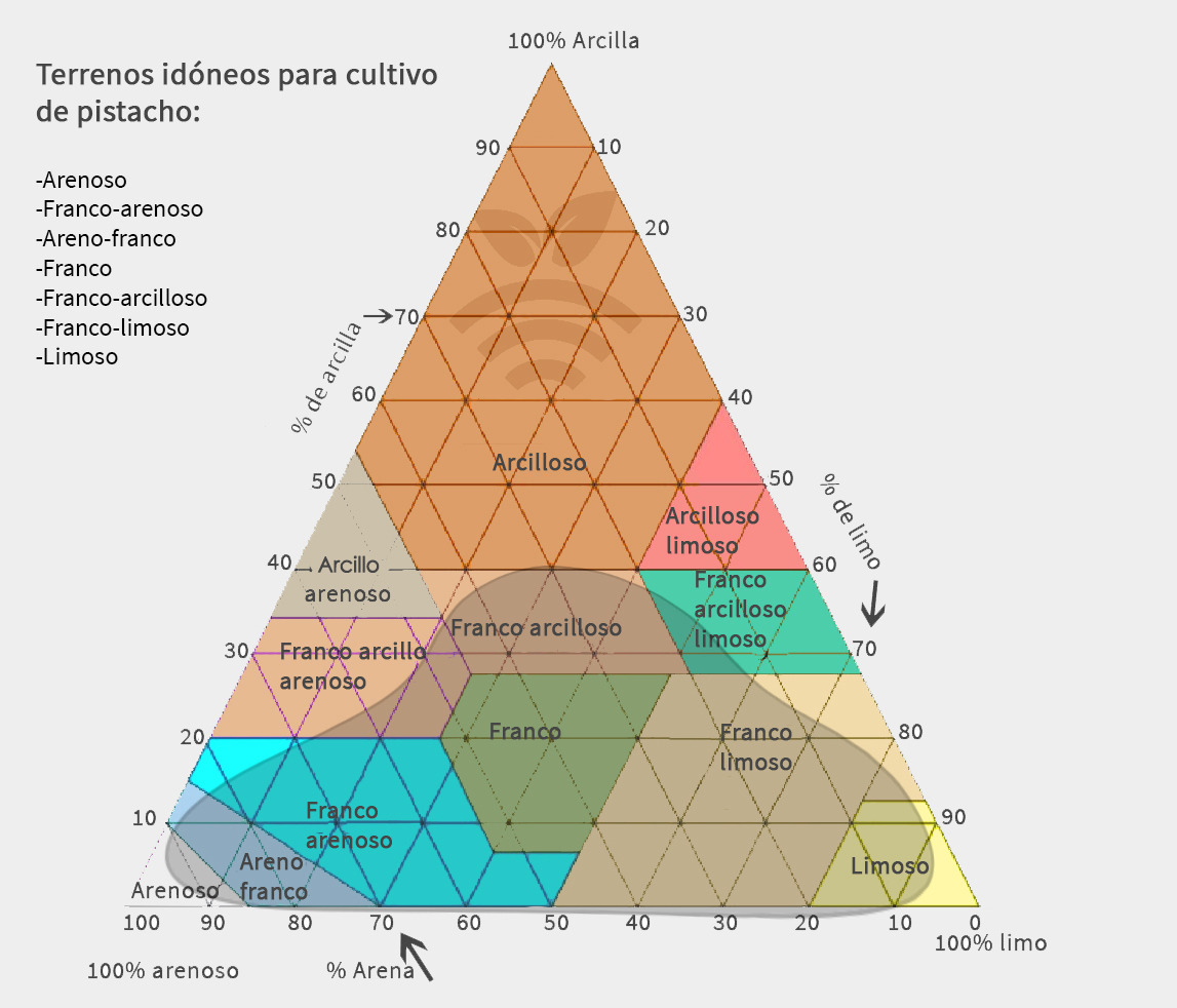 terreno idóneo para pistachos