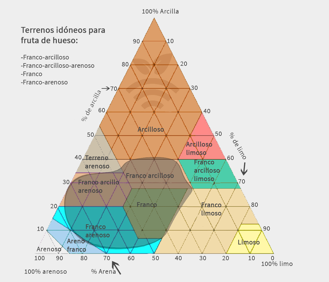 Terreno idóneo para frutas de hueso