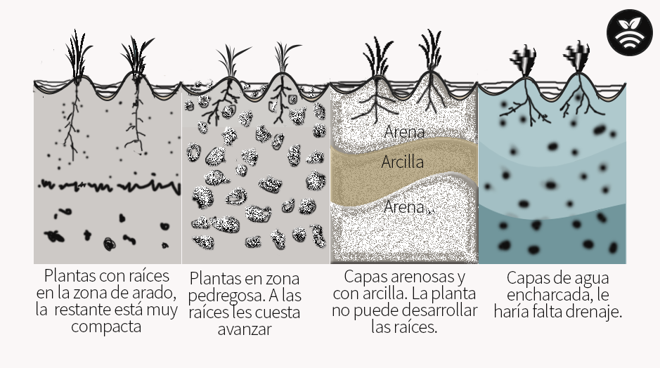 Atmósfera del suelo