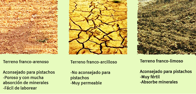 terrenos par pistacho