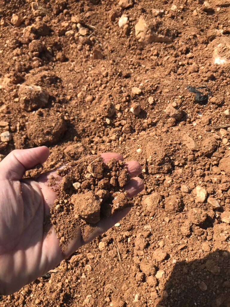 Terreno idóneo para sandía