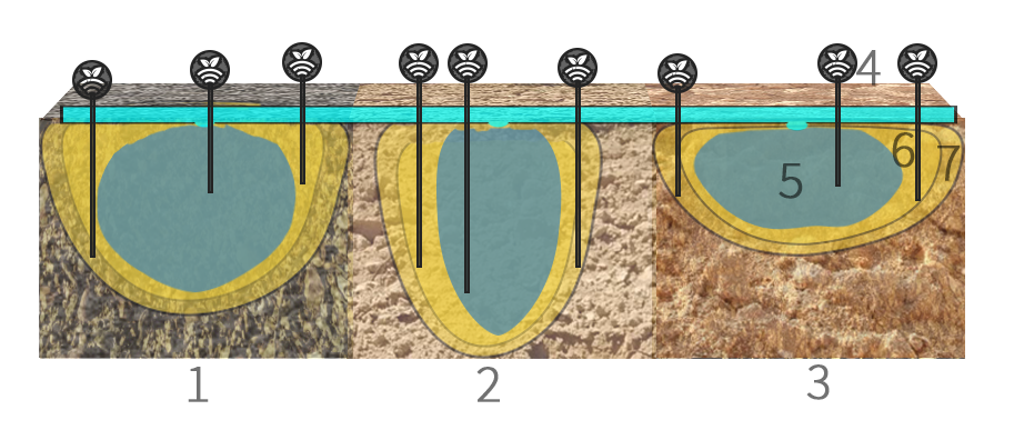 Suelos agrarios-Tipos de terreno con bulbo húmedo y salinidad