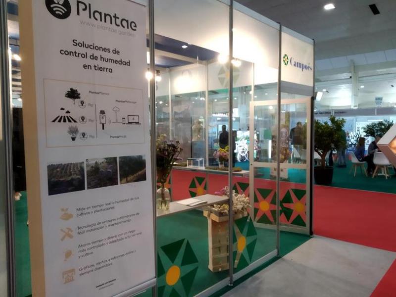 Stand de Plantae en fame Innowa