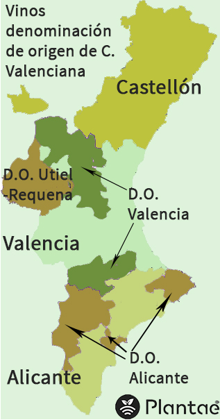 DO vinos Baleares