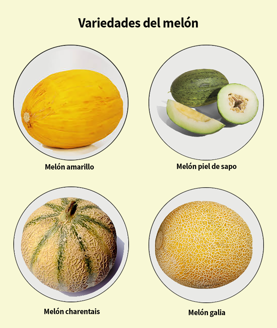 Variedades del melón