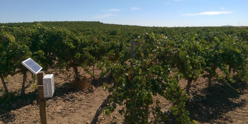 Instalaciones de sensores/sondas en riego-Viñedos