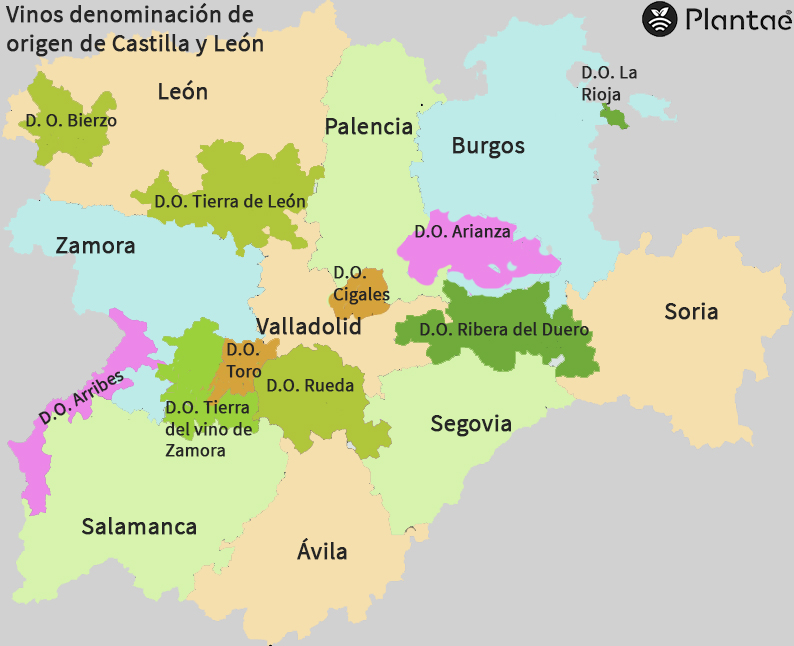 Denominación de origen vinos-de-Castilla-y-León