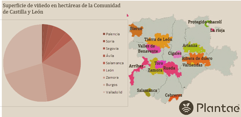 Vinos con denominación de origen en Castilla y León