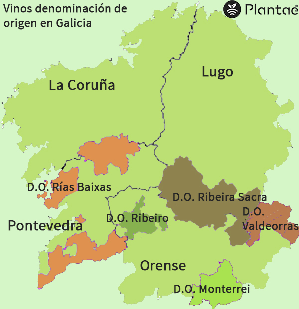 Vinos denominación de origen de Galicia