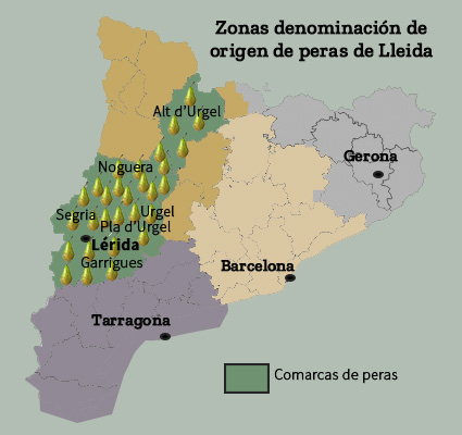 Peras de Lleida